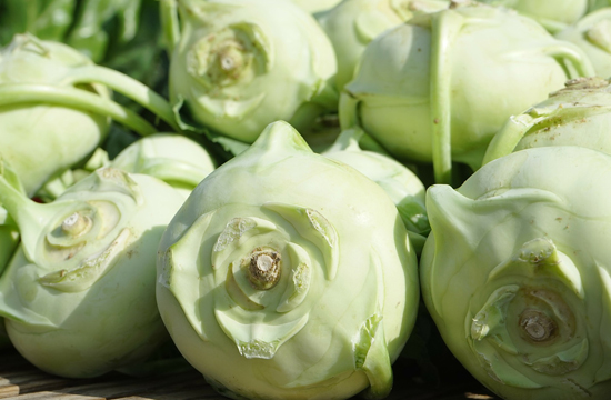 /Turnip cabbage